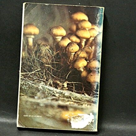 MAURI KORHONEN, Svampe i vor natur - Image 3