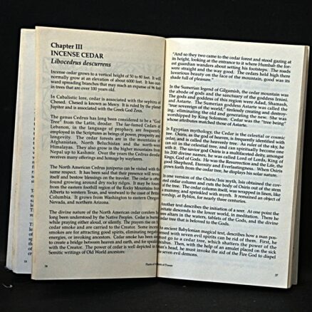 Alfred Savinelli, Plants of Power - Native American Ceremony and the Use of Plants - Image 2