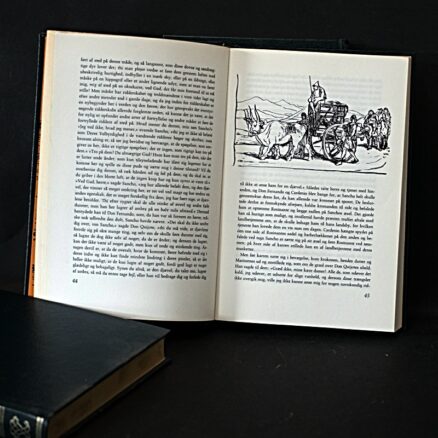 Miguel de Cervantes, Don Quijote - Image 2