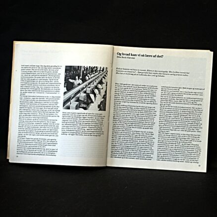 Bente Hansen, Dengang i 60'erne  - billeder fra dengang - tekster fra i dag - Image 2