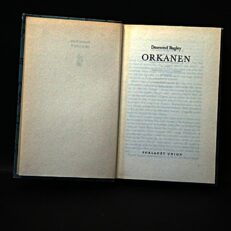 Desmond Bagley, Orkanen