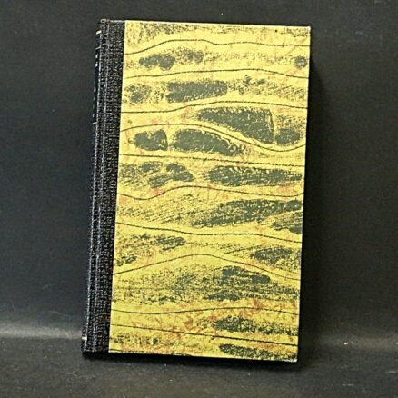 Morris L. West, Ulvesind - Image 3