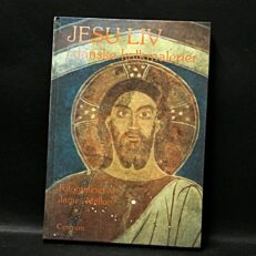 James Mellon, Jesu liv i danske kalkmalerier