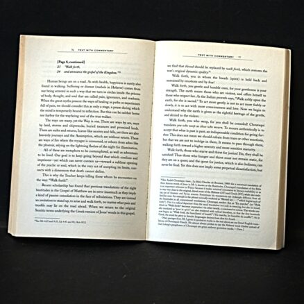 Jean-Yves Leloup, The Gospel of Mary Magdalene - Image 2