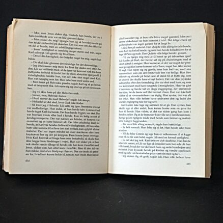 Kirsten Thorup, Elskede ukendte - Image 2