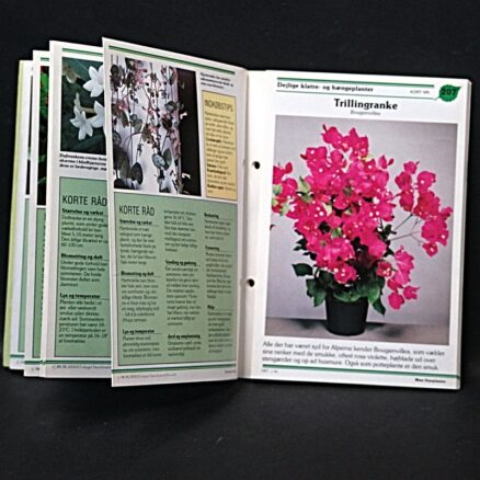 Jette Jøker, Mine stueplanter - Image 2