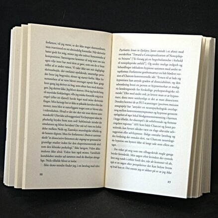 Siri Hustvedt, Kvinden der rystede eller Historien om mine nerver - Image 2