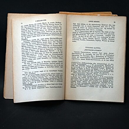 F. Müller-Lyer,  Livets mening og Videnskaben - Image 2
