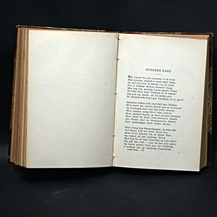 Frederik Paludan-Müller, Adam Homo - Image 3