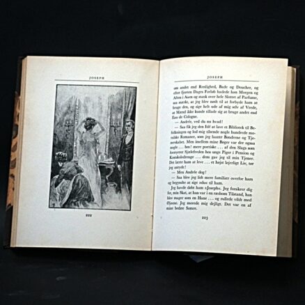 Guy De Maupassant, Hos Tellier - Image 4