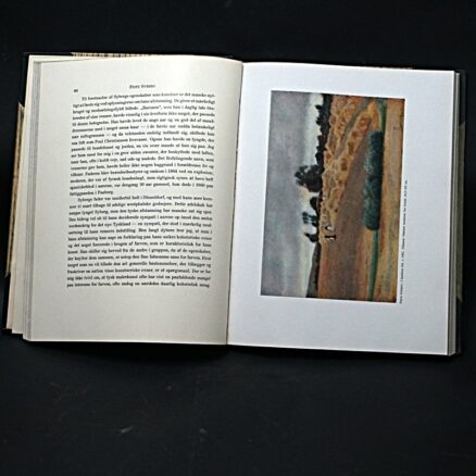 Leo Swane, Fire fyenske malere - Image 2
