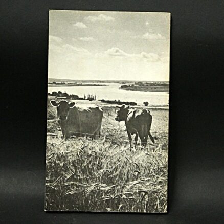 Johan Hvidtfeldt, Nordøstfyn - Image 3