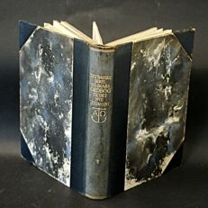 Det danske bibelselskabs ordbog til det nye testamente