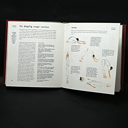Rosamond Richardson, Overlevelsesguide for moderne kvinder der har for meget at lave - Image 2