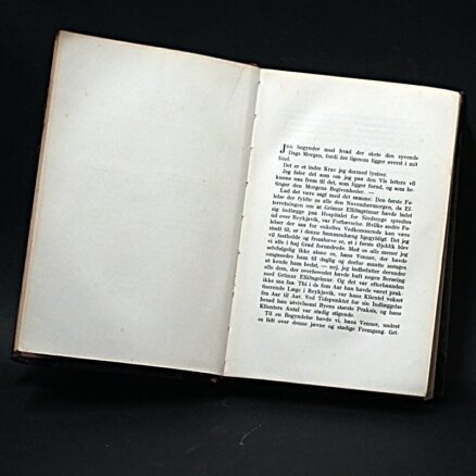 Gunnar Gunnarsson, Salige er de enfoldige - Image 3