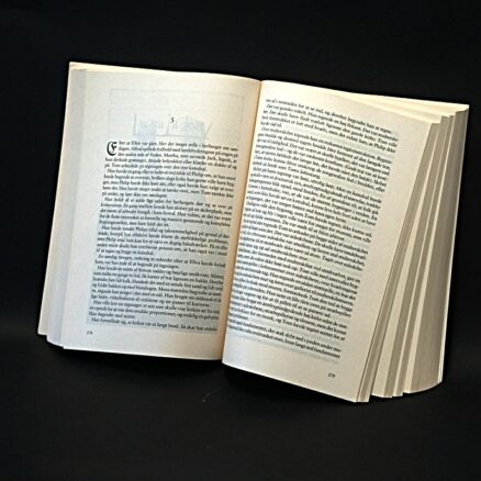 Ken Follett, Jordens søjler - Image 2