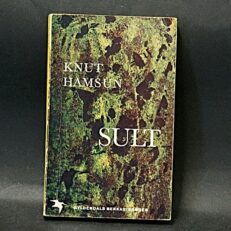 Knut Hamsuns, Sult