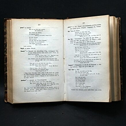 V. Kristiansen, Ordbog Over Gadesproget Og Saakaldt Daglig Tale - 1866 udgave - Image 2