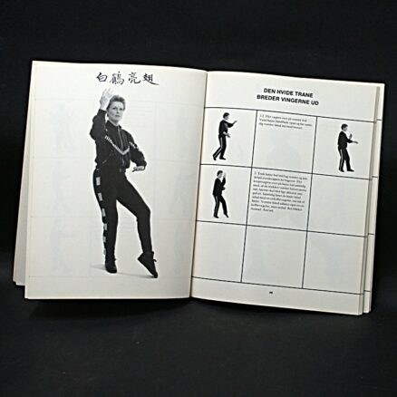 Yvonne Lin, Tai Chi - Image 2