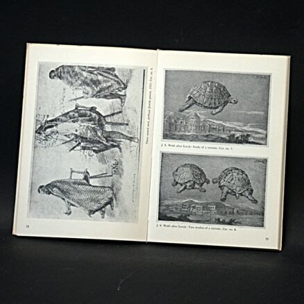 Erik Fischer, Melchior Lorck - Drawings - Image 2