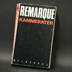 Erich Maria Remarque, Kammerater