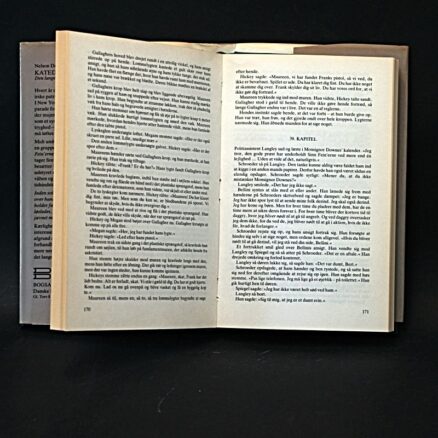 Nelson De Mille,  Katedralen - Image 2
