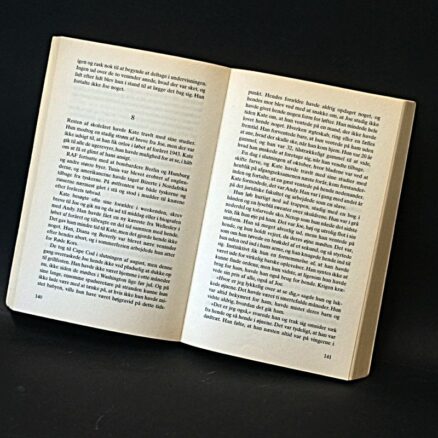 Danielle Steel, Himmelflugt - Image 2