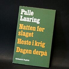 Palle Lauring, Natten før slaget