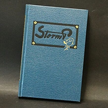 Robert Storm Petersen, Ned med alting - Image 2