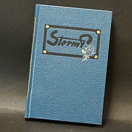 Robert Storm Petersen, Paa forperronen - Image 2