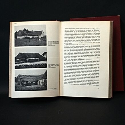 Fridlev Skrubbeltrang, Den danske husmand  I-II - Image 4