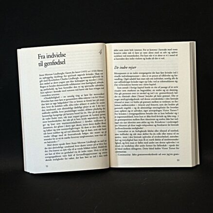 Marianne Ammitzbøll, Den viise kvinde - Image 2