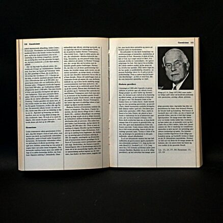Poul Fersling, Mystikkens verden - Image 2