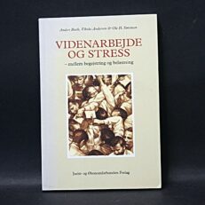 Anders Buch, Videnarbejde og stress