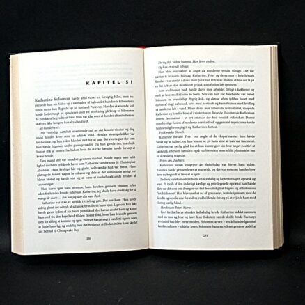 Dan Brown, Det forsvundne tegn - Image 2