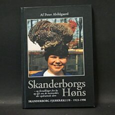 Peter Abildgaard, Skanderborg Høns