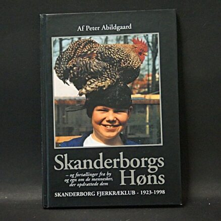 Peter Abildgaard, Skanderborg Høns
