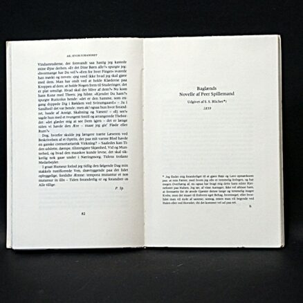 Steen Steensen Blicher, Landsbydoctoren og andre noveller - Image 2