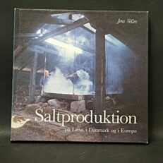 Jens Vellev, Saltproduktion på Læsø - i Danmark og i Europa