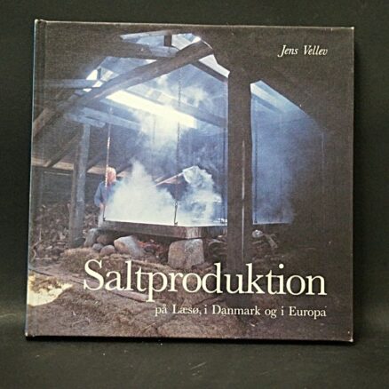 Jens Vellev, Saltproduktion på Læsø - i Danmark og i Europa