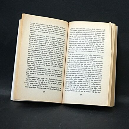 Hermann Hesse, Siddhartha - Image 2