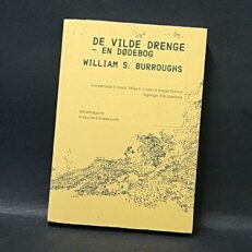William S. Burroughs, De Vilde Drenge