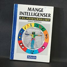 Thomas Armstrong, Mange intelligenser i klasseværelset