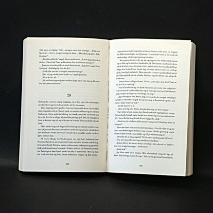 Ken Follett, Den tredje tvilling - Image 2