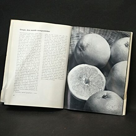 Eva Hemmer Hansen, Alverdens dejlige frugter - Image 2