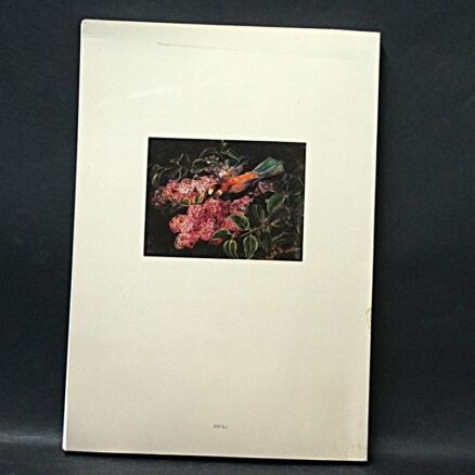 Bruun Rasmussen, Malerier &  Antikviteter – katalog 537 - Image 3