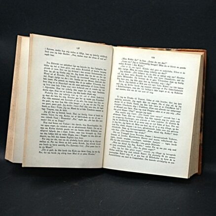 Erich Maria Remarque, Kammerater - Image 3