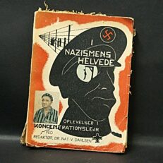 V. Dahlsen, I nazismens helvede