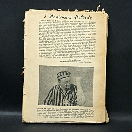 V. Dahlsen, I nazismens helvede - Image 5