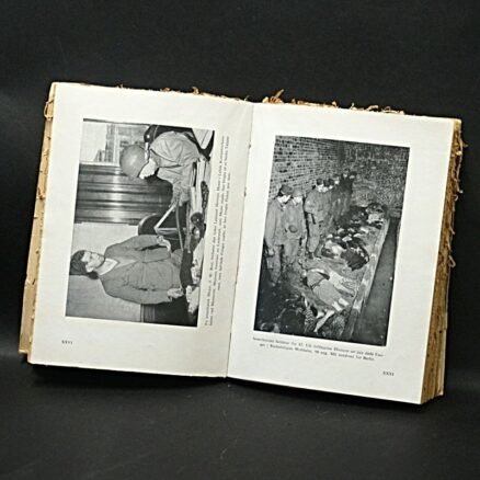 V. Dahlsen, I nazismens helvede - Image 4
